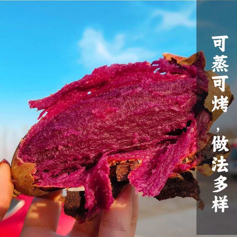 紫薯红薯、紫薯、红薯