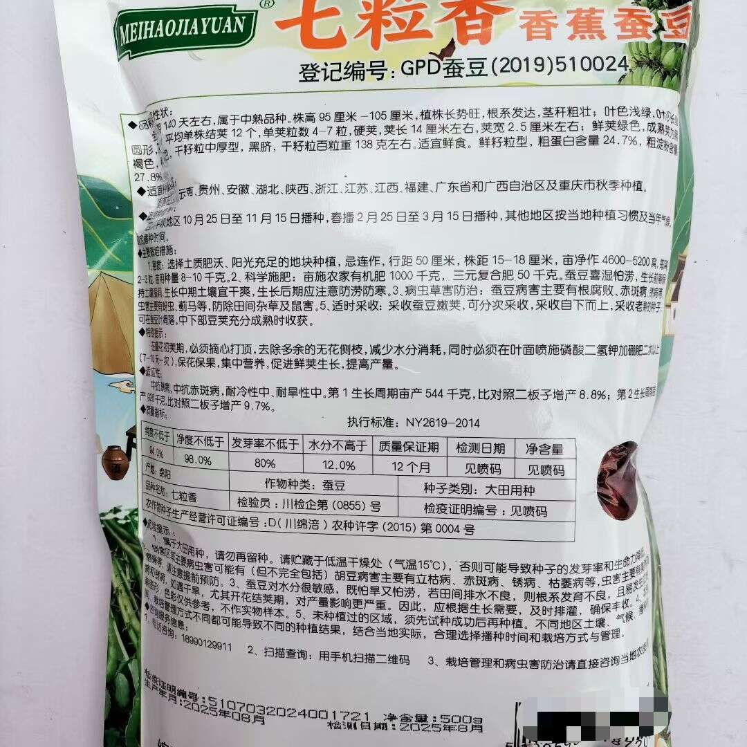 七粒香蚕豆种子香蕉蚕豆种子 中熟七粒蚕豆种子