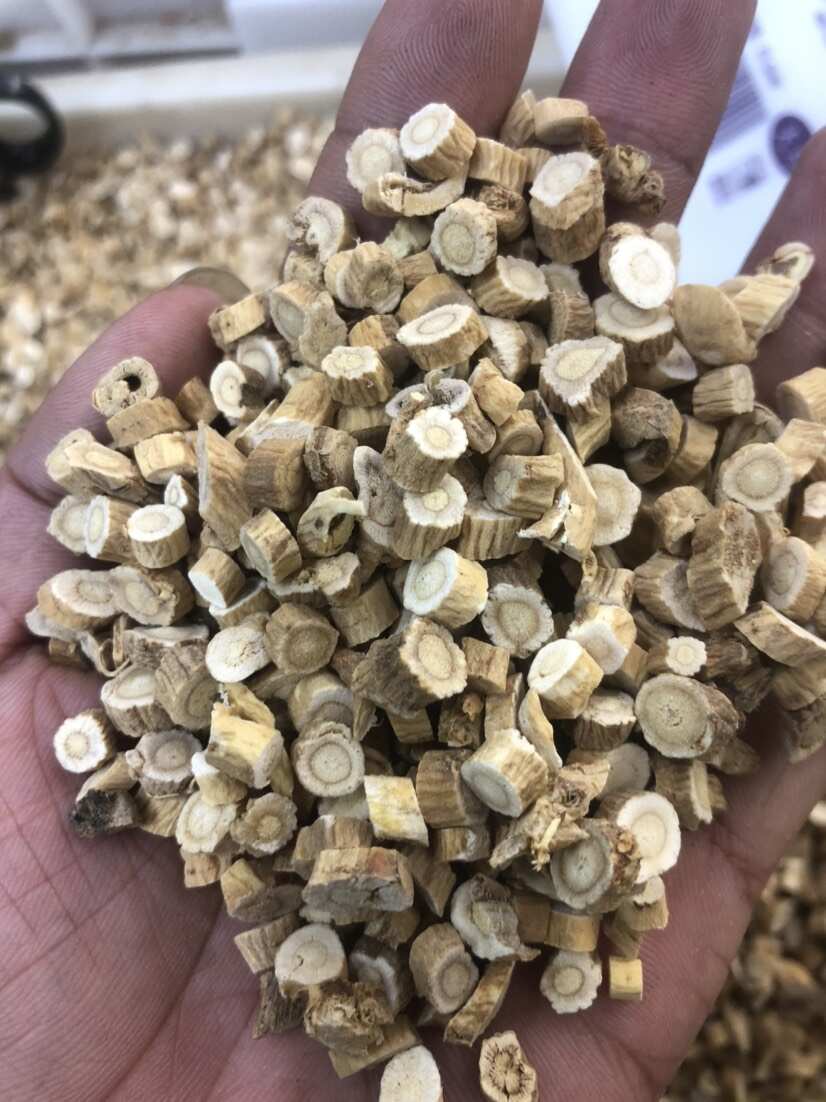 甘肃黄芪中药材滋补品58丁快递包邮