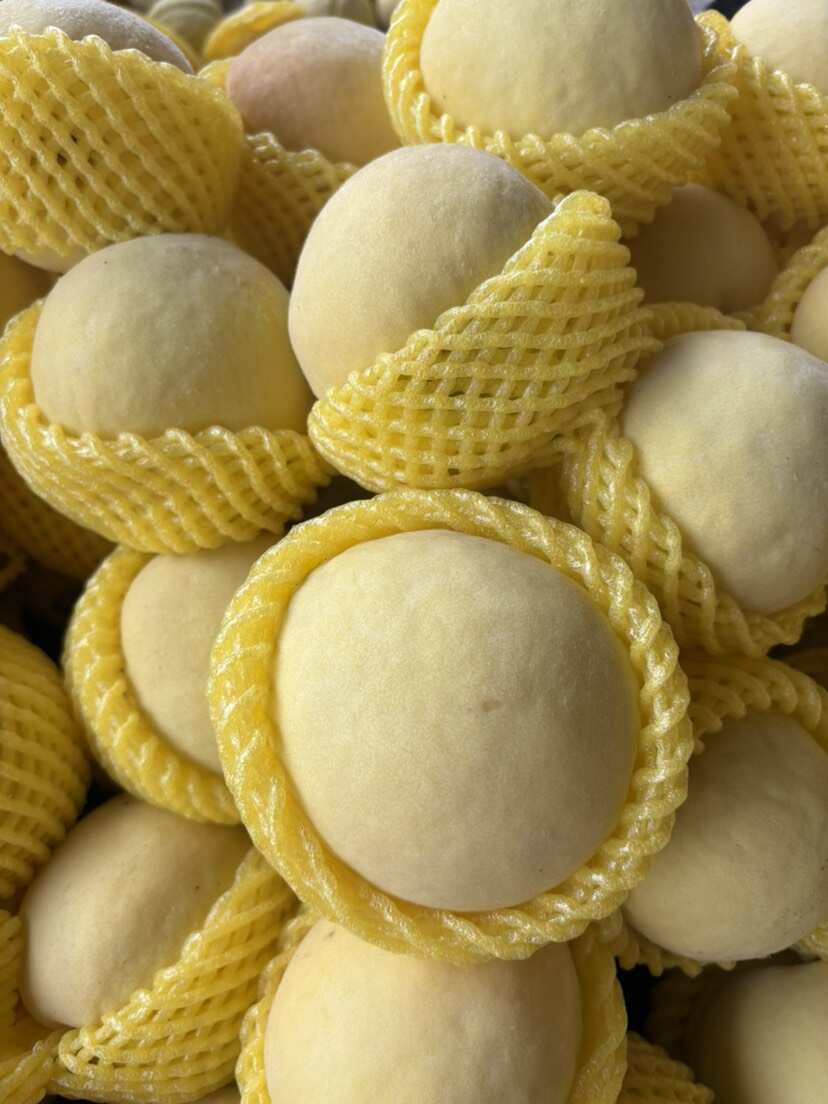 巨黄金毛桃 个头大 口感好