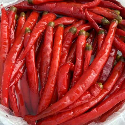 重庆市泡红二荆条泡椒四川泡菜商用批发30斤