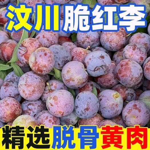仁寿县【汶川脆红李】四川汶川高山小脆红纯甜无酸露天4.5斤装，一件