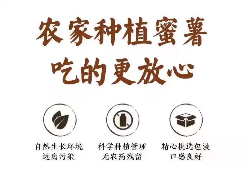 山东烟薯25糖心蜜薯