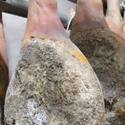 歙县（二年陈）徽州土猪火腿（整只）