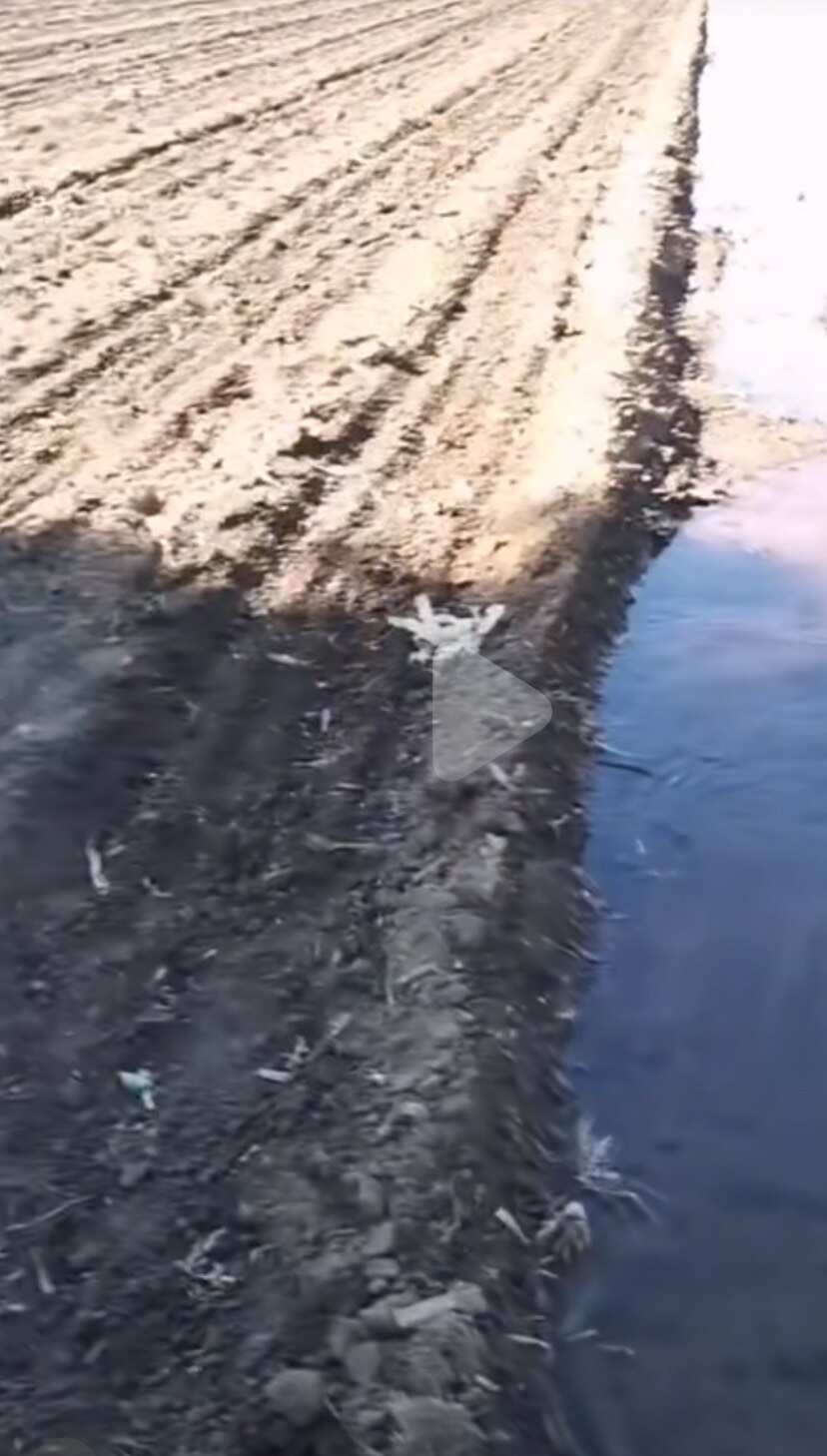 内蒙古兴安盟以及蒙东地区上万亩好地出租，有电井。