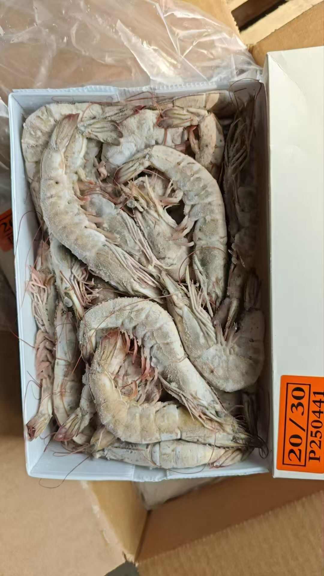 厄瓜多尔白虾，桑塔大虾