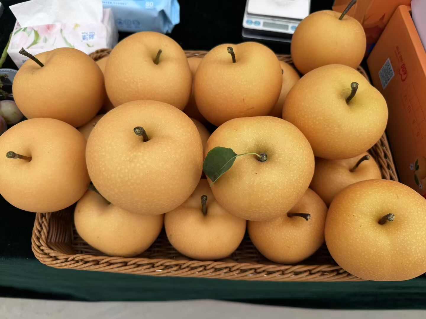秋月梨