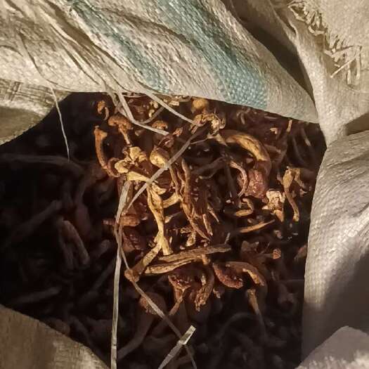 哈尔滨保质保量