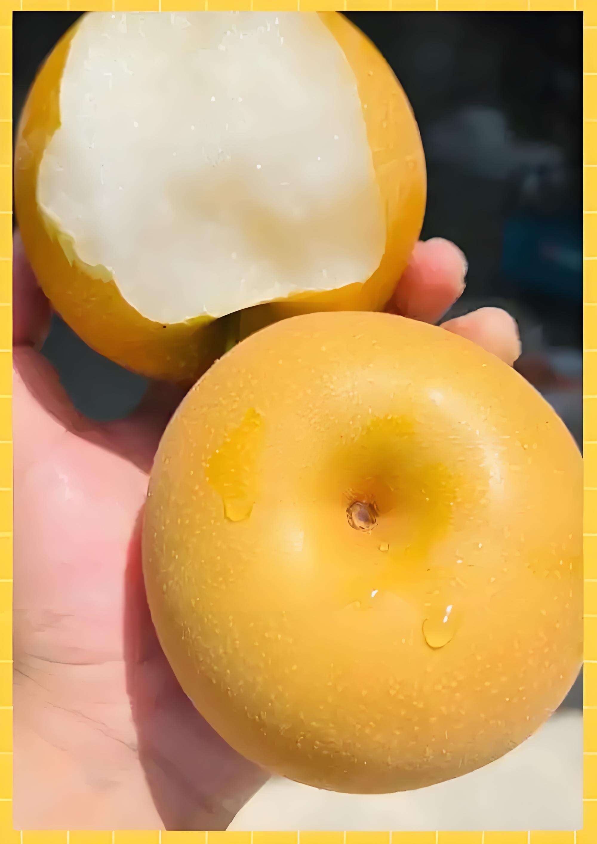 秋月梨