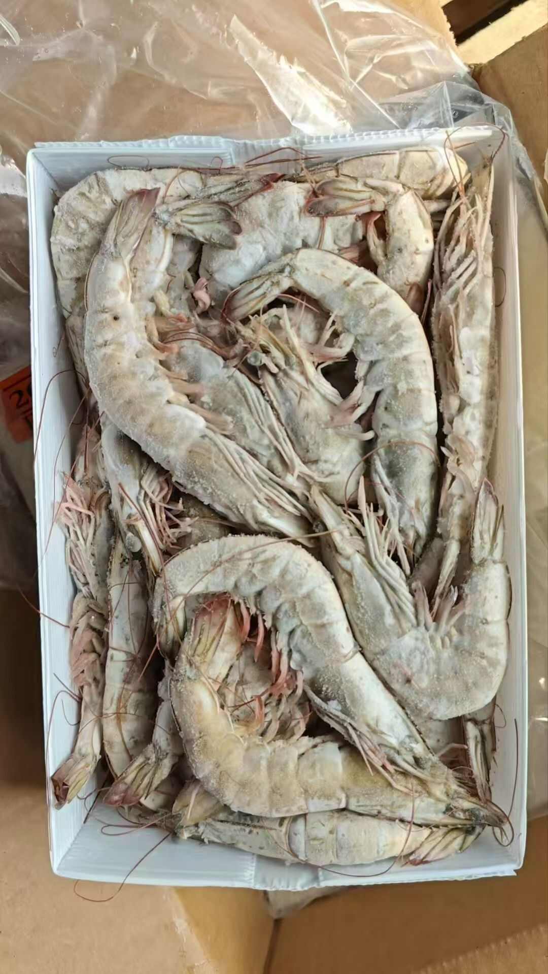 桑塔20/30大虾，原装