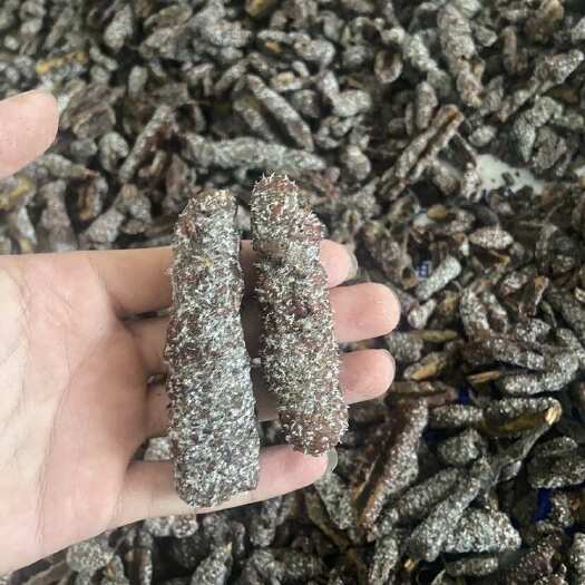 元阳县云南元阳紫草茸中药材优质货源 可协商选择干湿胶