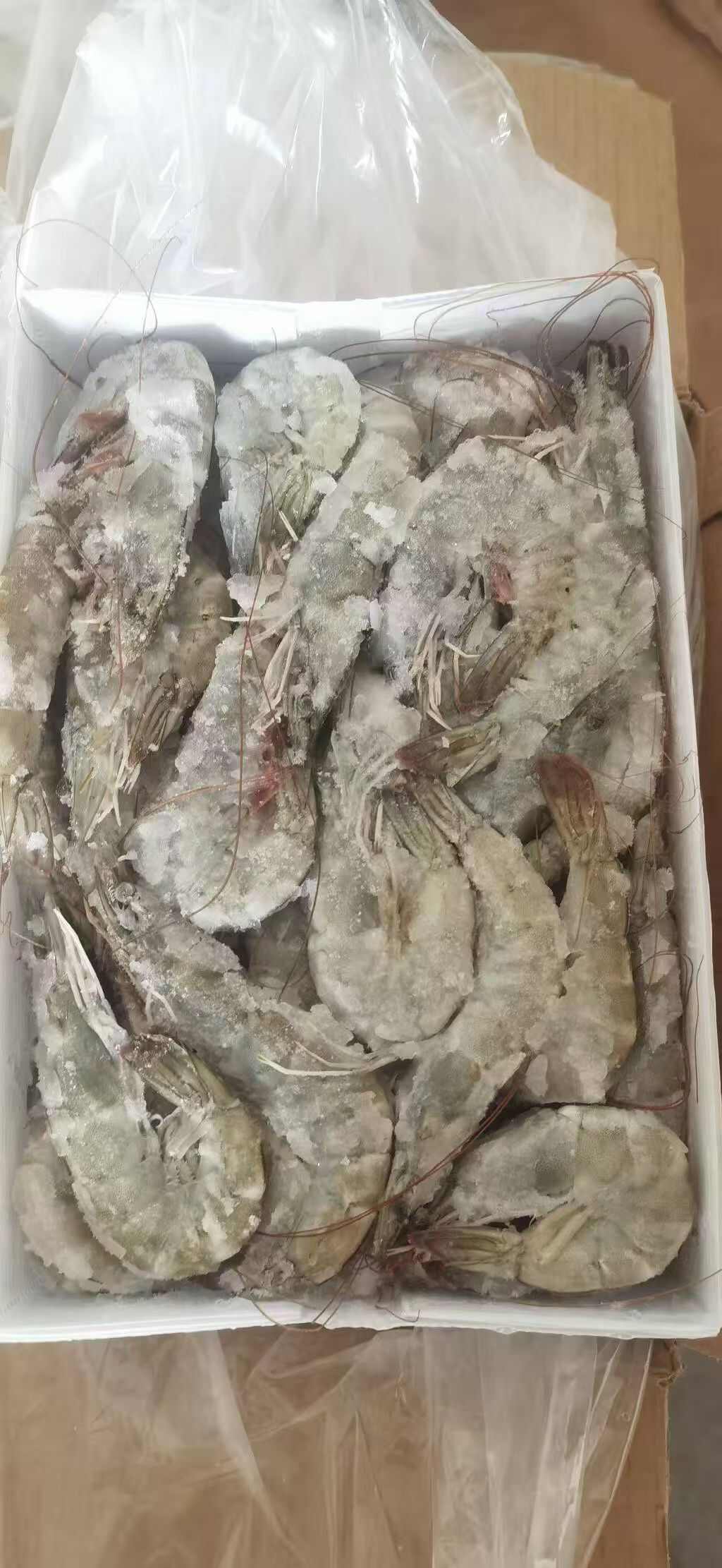厄瓜多尔白虾，桑塔大虾