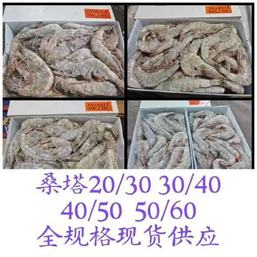 厄瓜多尔白虾，桑塔大虾