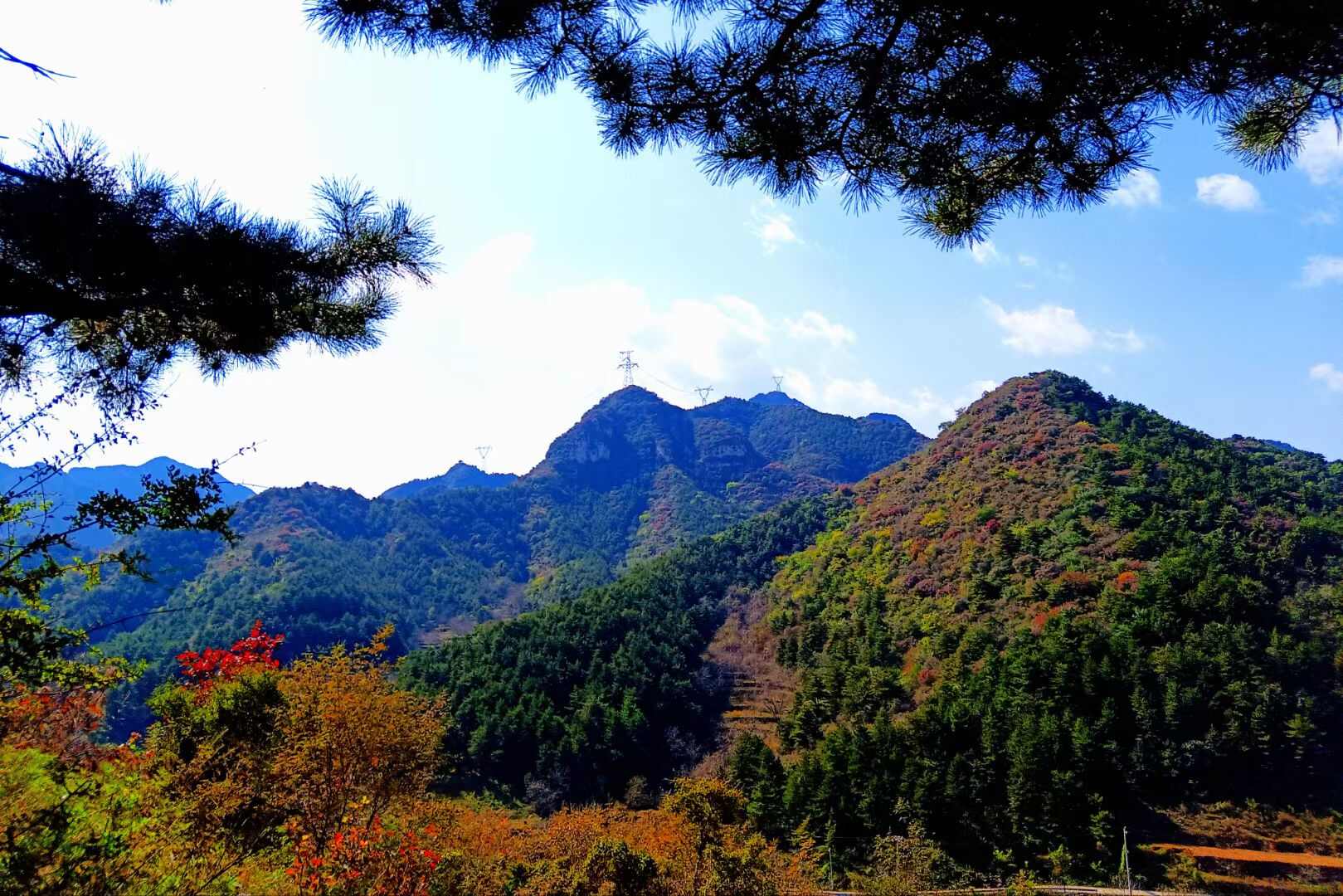 林地、土地、民居流转