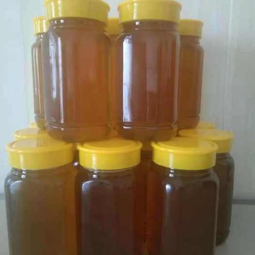 高州市高州鸭脚木蜜天然蜂蜜24个月保质期营养滋补品广东茂名发货