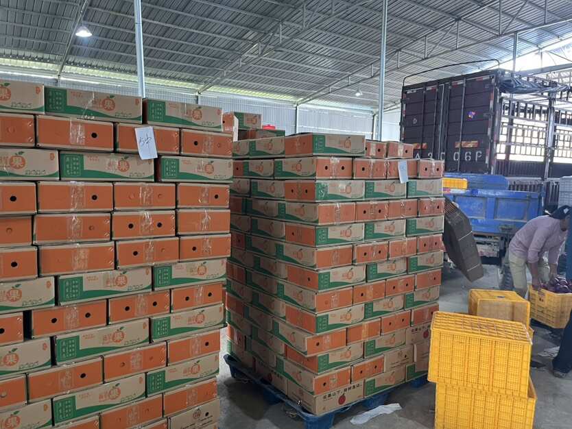 甘肃天水花牛苹果蛇果粉脆两吃电商一件代发