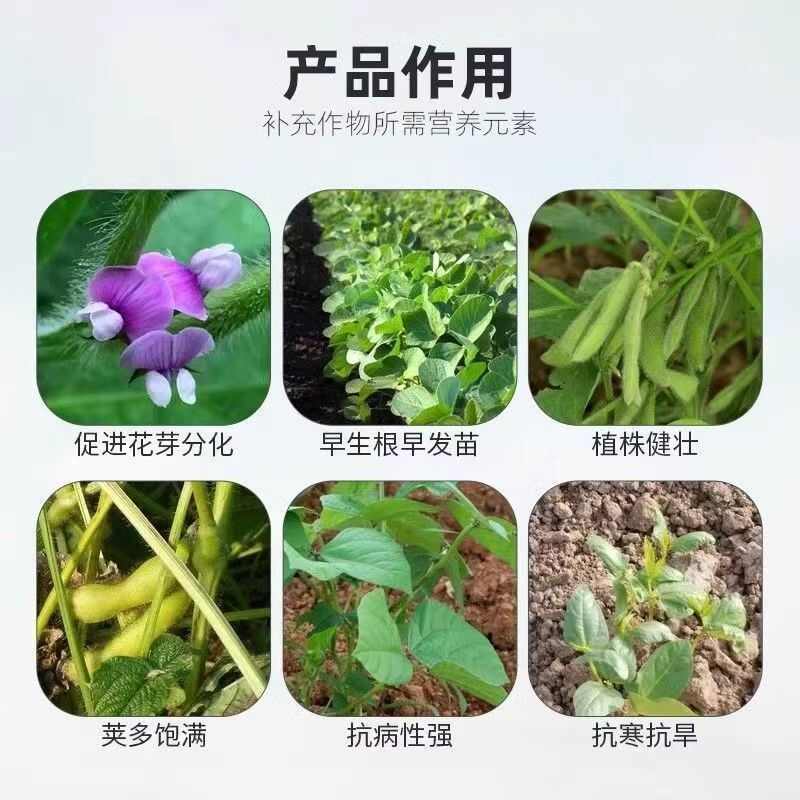 豆蛋丰腐殖酸水溶肥大豆五叶以上用根粗根壮熬合肥