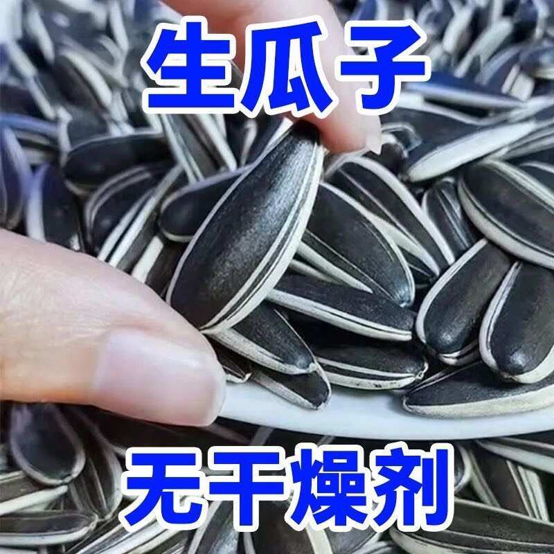 2025年新瓜子（生瓜子）老人孩子都可食用
