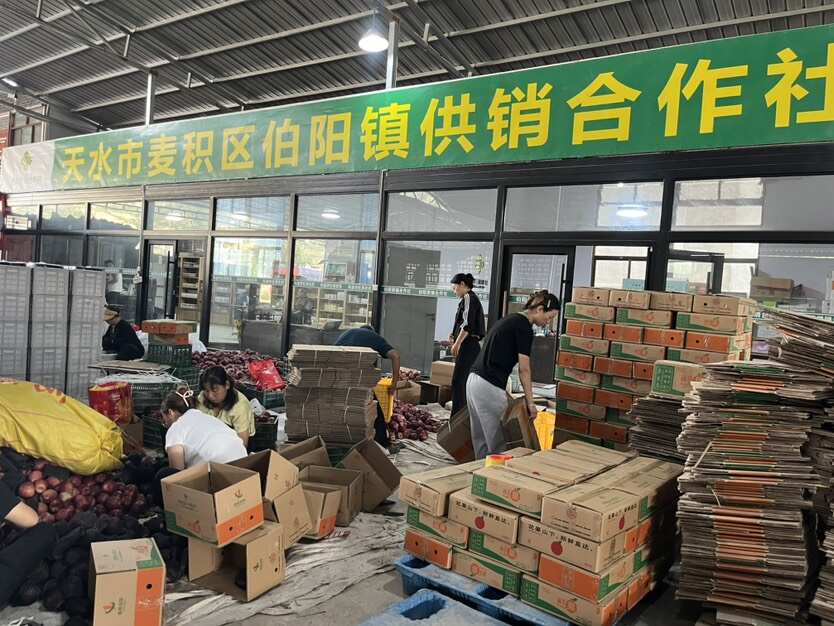 甘肃天水花牛苹果蛇果粉脆两吃电商一件代发