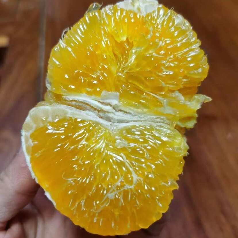 黄金葡萄柚纯甜柚子新鲜水果礼盒水果一件批发