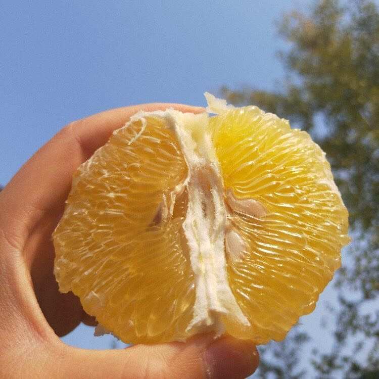 黄金葡萄柚纯甜柚子新鲜水果礼盒水果一件批发