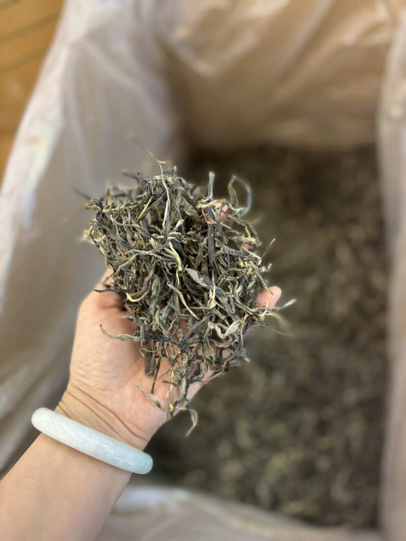 小户赛古树生普散茶：花果蜜香围绕，香在汤中香中带甜，货源充足