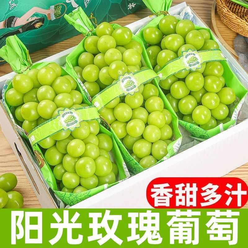 5斤现摘阳光玫瑰葡萄新鲜晴王青提当季水果水晶提子