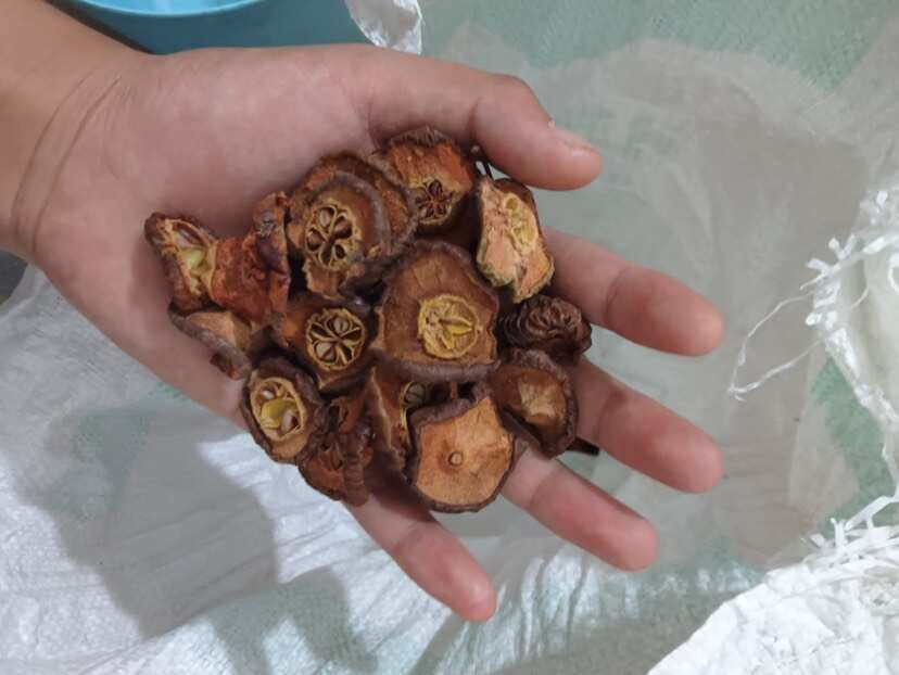 广西特产圆片山楂干好靓老树采摘泡水