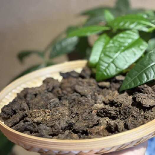 易武古树老茶头：果胶和茶多糖含量高，汤感​​醇厚顺滑，醇香！