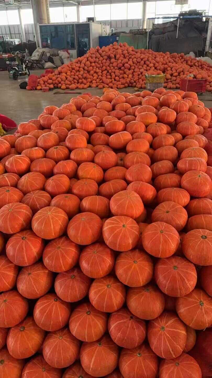 大红南瓜，装饰小南瓜，小金瓜红皮南瓜万圣节雕刻南瓜盅