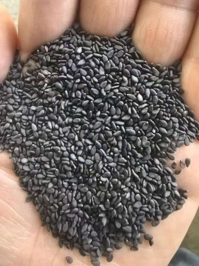 黑芝麻，生黑芝麻，熟黑芝麻等常年有货