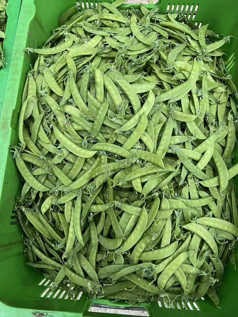 全年供货 电商 商超 档口老板可以考虑入手了 货源稳定