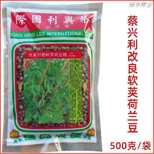 三明蔡兴利改良11号软荚荷兰豆种子耐旱耐寒开红花 春秋季604豌