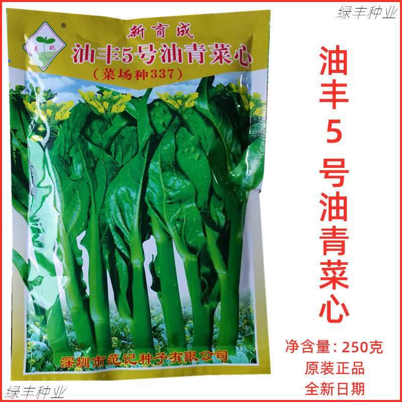 范记油丰5号油青菜心种子菜心青梗圆叶良种春夏秋冬季蔬菜种孑