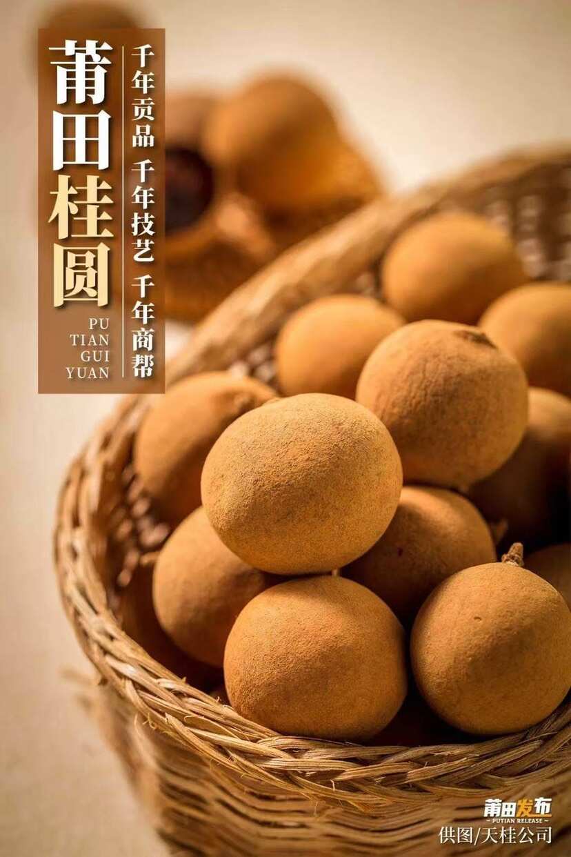 福建桂圆干 大果 福建莆田特产2025新货桂圆干