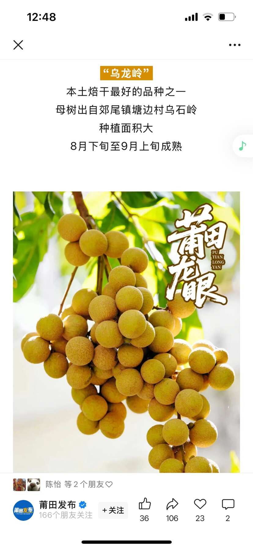 福建桂圆干 大果 福建莆田特产2025新货桂圆干