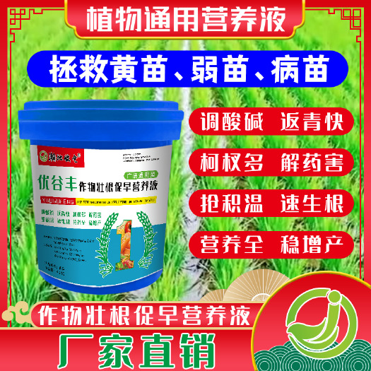 快速生长壮根促早水稻小麦快速返青分蘖微生物菌营养液