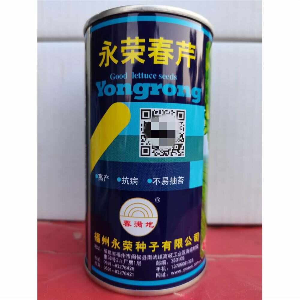 永荣春芹种子冬春耐寒耐湿耐抽薹芹菜春芹香芹春夏秋冬季蔬菜种孑