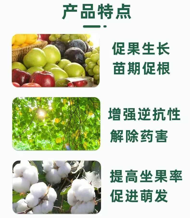 1.8%复硝酚钠正品果树蔬菜壮苗保花护果促进花芽分化生根调节