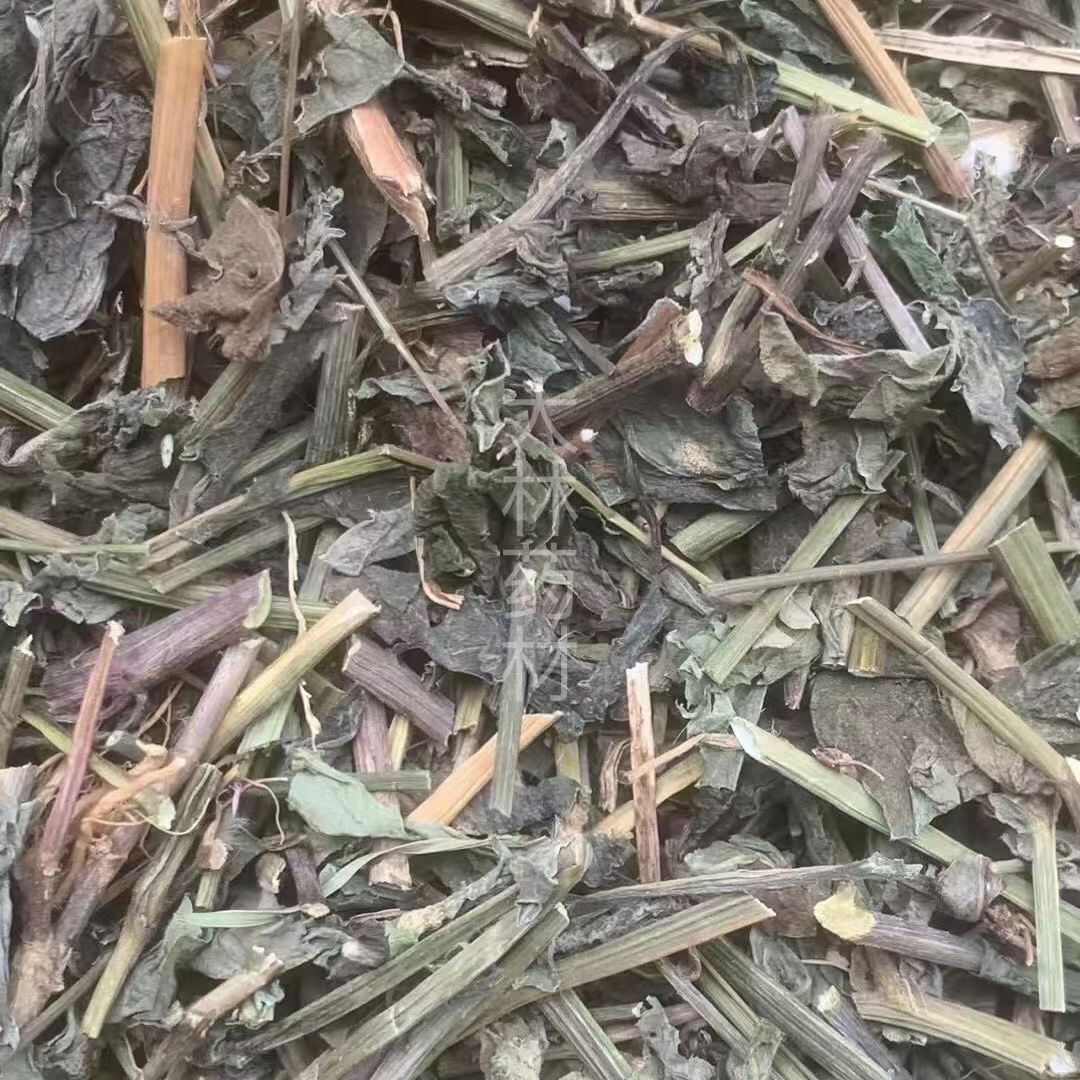 玉林长期供应｛一点红｝可批量可零售量大从优【包邮】