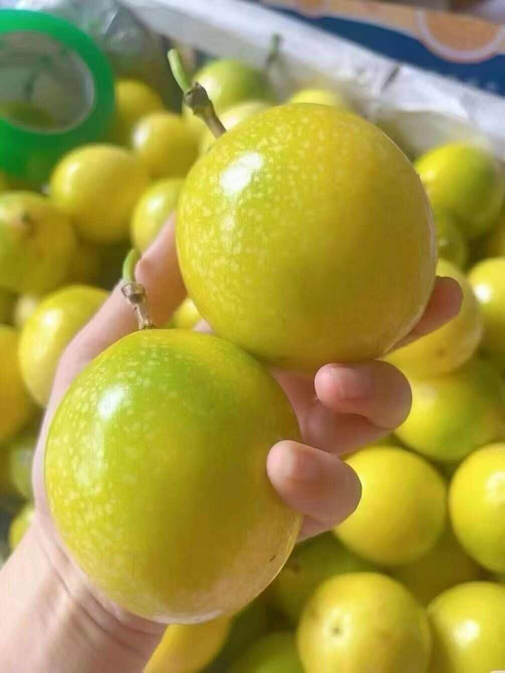 广西钦蜜9号黄金百香果新鲜大果5斤黄色原浆水果应季当季整箱包