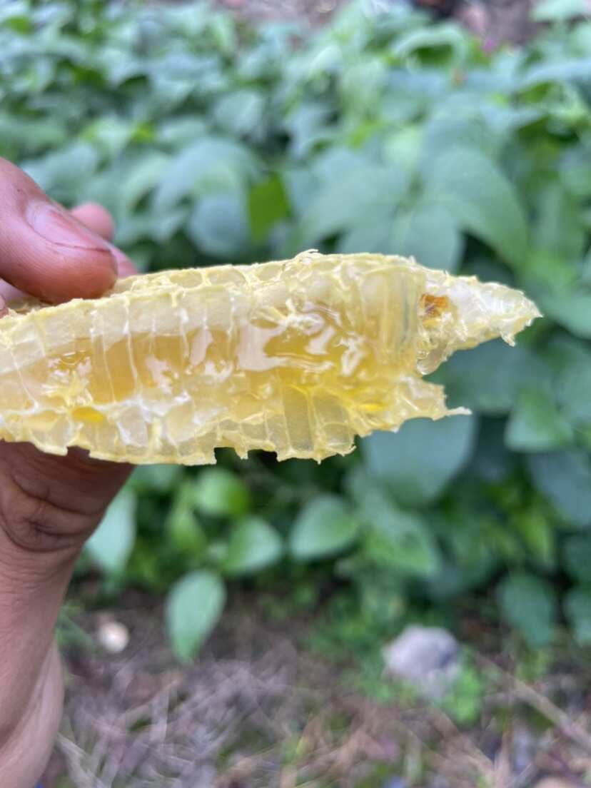 天然土蜂蜜（假一赔十）
