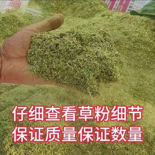 厂家直销甜叶菊草料干料鸡鸭鹅羊兔家禽专用饲料便宜新鲜养殖