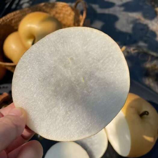 青岛秋月梨自家果园嘎嘎甜批发