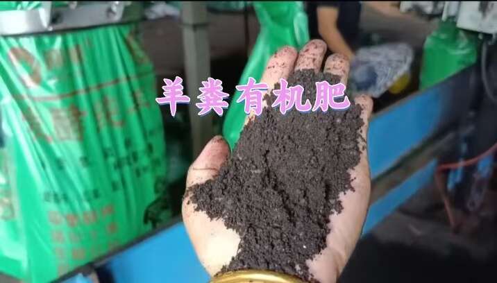 羊粪有机肥经高温腐熟发酵，不烧根不烧苗，有效改良土壤结构