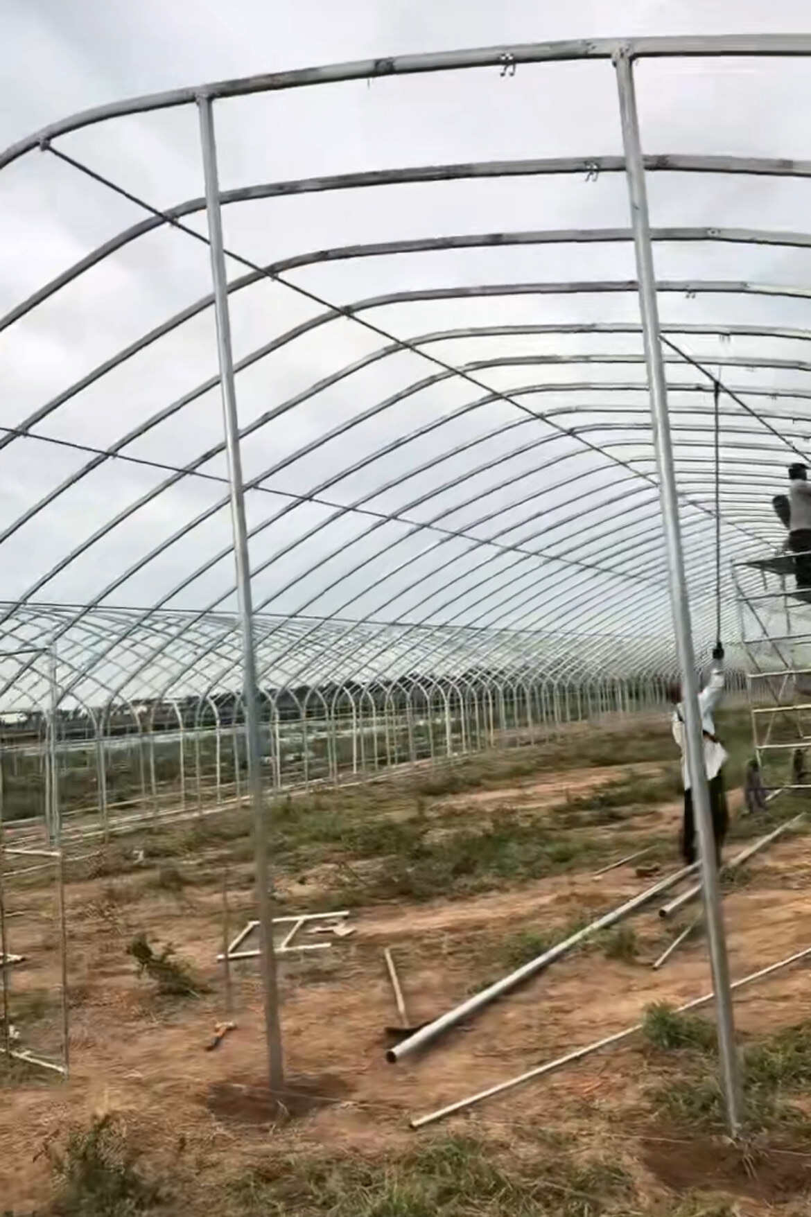 扁钢大棚