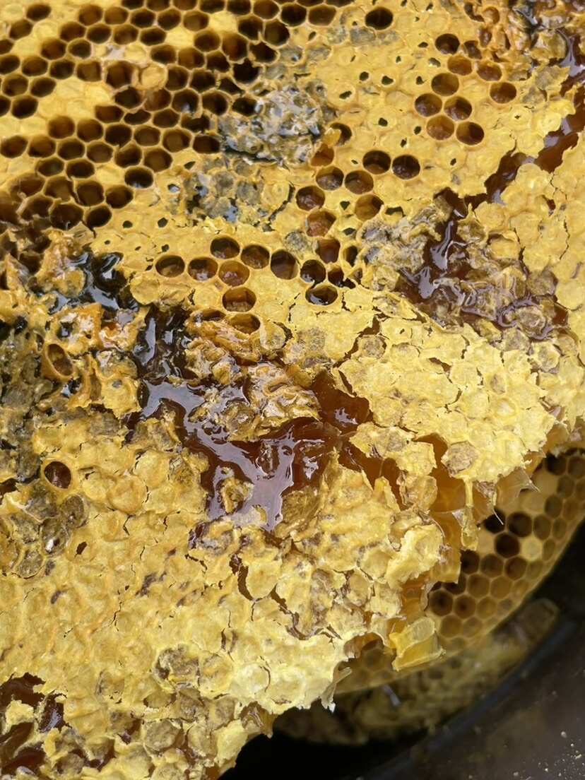 天然土蜂蜜（假一赔十）