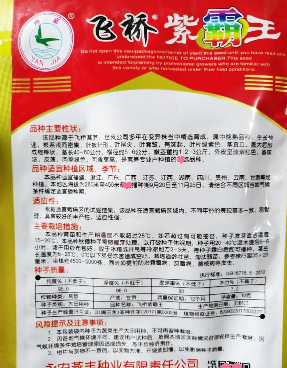 永安飞桥紫霸王种子金农莴笋种基地种植红皮肉绿莴笋蔬菜种籽