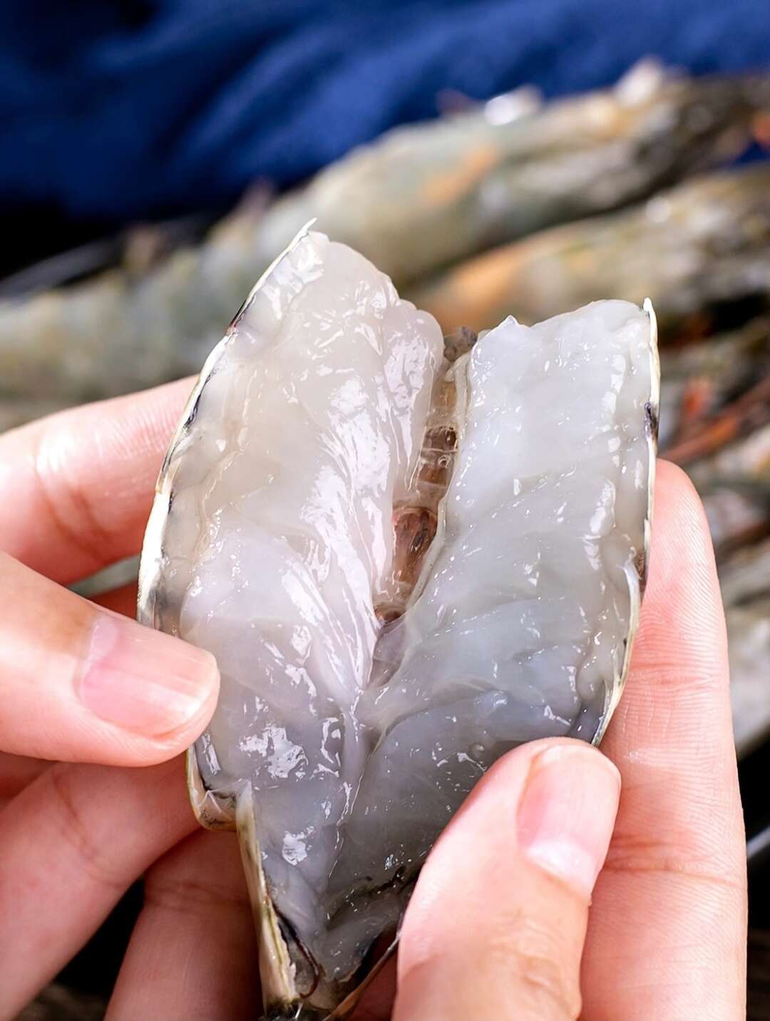 【越南黑虎虾】老虎虾鲜活速冻新鲜海鲜水产特大基围虾冷冻现货