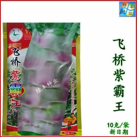 永安飞桥紫霸王种子金农莴笋种基地种植红皮肉绿莴笋蔬菜种籽